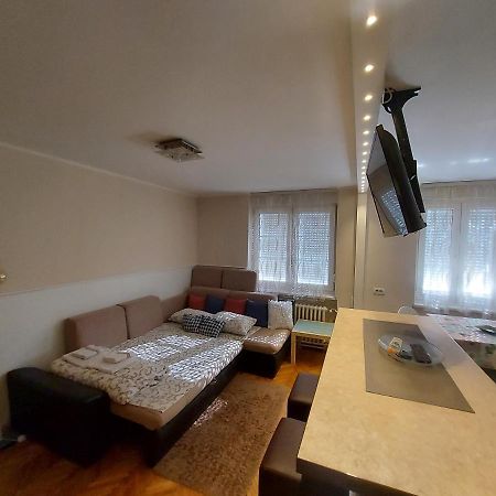 Central Apartment With Garage Újvidék Kültér fotó